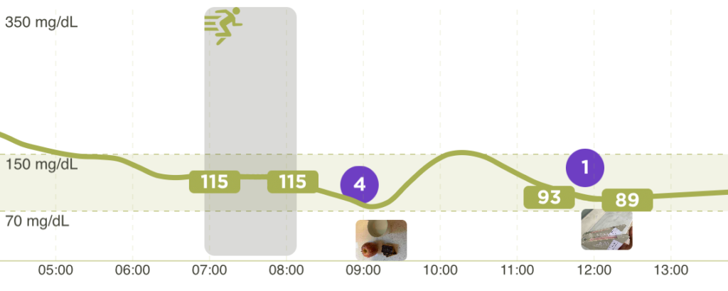 App Sistema Insulclock